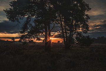 Sonnenaufgang von Roy IJpelaar
