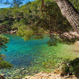 Calanque du Port d'Alon aan de Côte d'Azur van Tanja Voigt