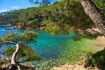 Calanque du Port d'Alon aan de Côte d'Azur van Tanja Voigt