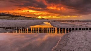 Goldener Abend