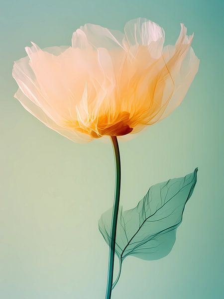 Romantic flower by haroulita