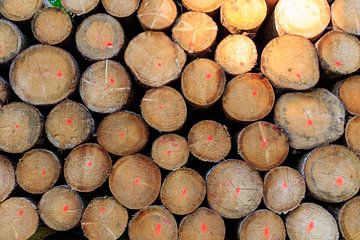 Close up van een stapel gesorteerde, gezaagde boomstammen van Photo Henk van Dijk