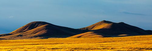 Evening light in Nevada
