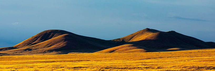 Abendlicht in Nevada von Henk Meijer Photography