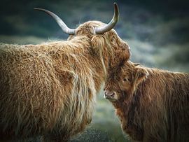 Young Scottish Highlander with mother by Dirk van Egmond