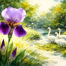 Schwäne und Iris von Linda de Klein