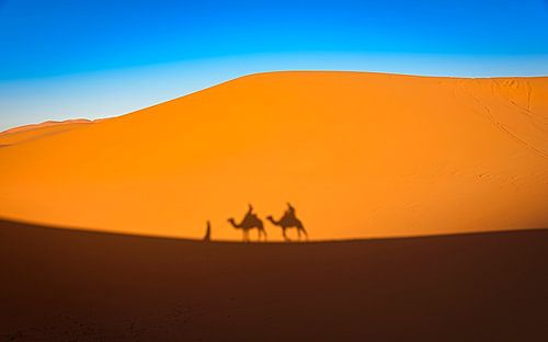 Trektocht door de woestijn, Marokko