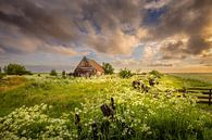Hollandse wolken op Texel van Andy Luberti thumbnail
