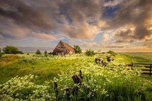 Niederländische Wolken auf Texel von Andy Luberti