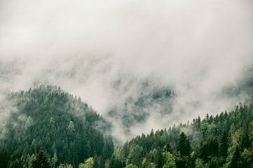 Wolken boven het bos in de Zgornje Jezersko vallei zicht tijdensin van Sjoerd van der Wal Fotografie