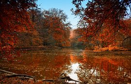Herfst  von Wilma van der Togt