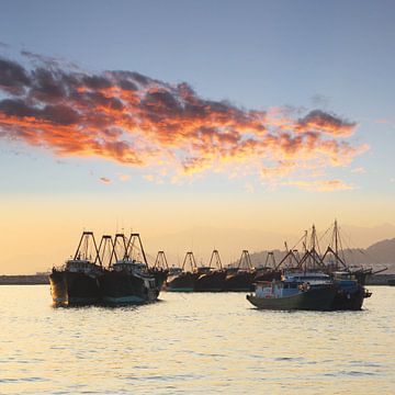 Chalutiers Hong Kong