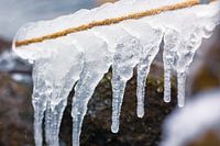 Icicles on a cold winter day