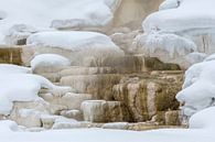 Mammoth Hot Springs im Winter, UNESCO-Welterbe van wunderbare Erde thumbnail