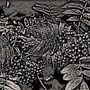 Abstract Autumn Berries In Black And White von GittaGsArt Miniaturansicht