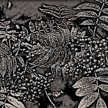 Abstract Autumn Berries In Black And White van GittaGsArt