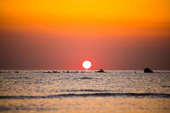 Sonnenaufgang weckt die Möwen