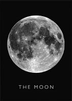 Celestial Beauty: The Moon