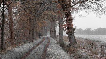 Winter sfeer in Hollands landschap van Lynxs Photography