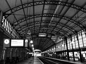 NS Station The Hague HS (Hollands Spoor) Black and white by Carel van der Lippe thumbnail