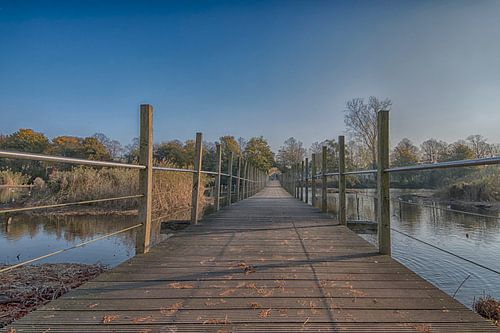 Loopbrug park Frankendael