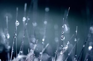 Drops all over VI