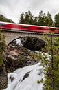 Bernina Express van Joel Layaa-Laulhé thumbnail