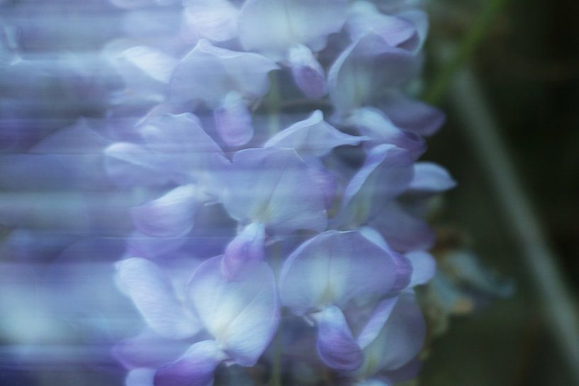 Bewogen blauwe regen van Juul Vullings