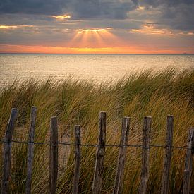 Solar harps along the coast by Leon Okkenburg
