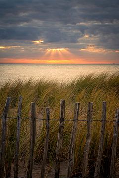 Solar harps along the coast