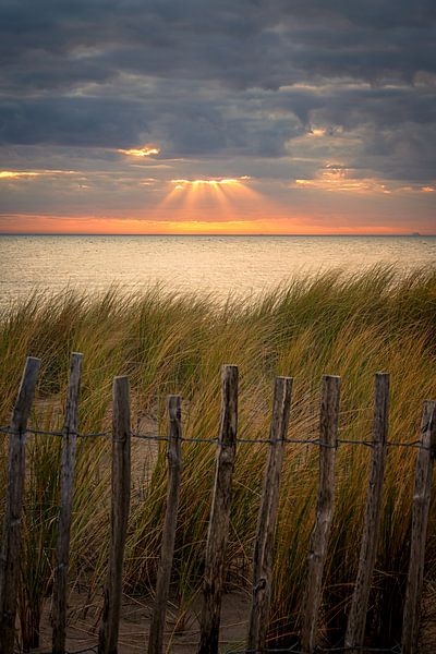 Solar harps along the coast by Leon Okkenburg