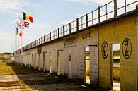 Circuit Reims Gueux by Annemarie Westerveld thumbnail
