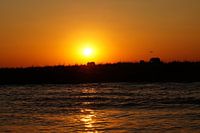 Olifanten in de verte