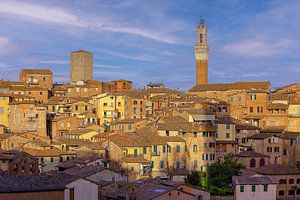 Siena Altstadt