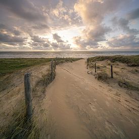 Zee, duin en strand, leven aan de kust van Dirk van Egmond