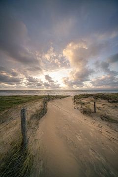 Zee, duin en strand, leven aan de kust van Dirk van Egmond