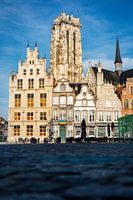 Grote Markt Mechelen met uitzicht op Sint-Romboutskathedraal