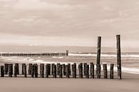 Domburg beach by Nancy van Verseveld thumbnail