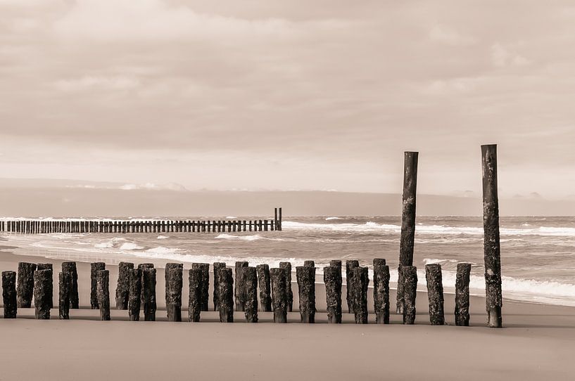 Domburg beach by Nancy van Verseveld