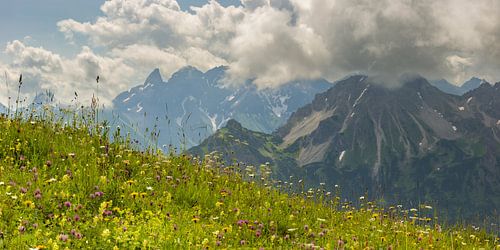 Alpenbloemen
