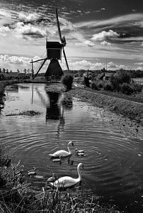 Holländische Landschaft mit Mühle von Tom Oosthout