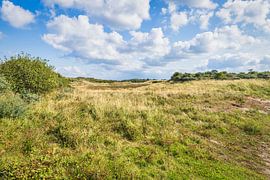 Dünenlandschaft Dünen von Goeree von eric van der eijk