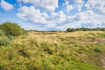 duinlandschap Duinen van Goeree van eric van der eijk