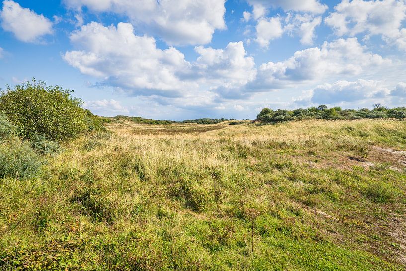 dune landscape Dunes of Goeree by eric van der eijk