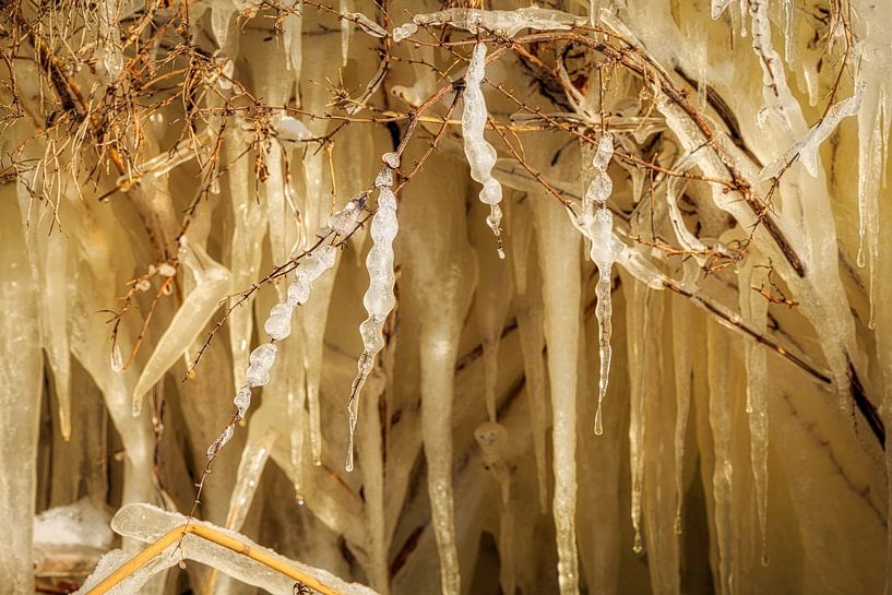 Sculpture de glace par Peter Bolman