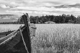 Bateau sur Johan Zwarthoed