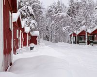 Finland, houses in the snow