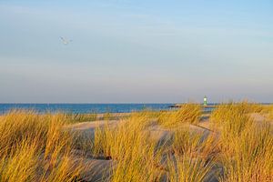 Warnemünde im Dezember