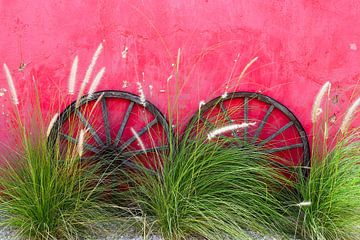 Twee vintage wielen tegen roze vrolijke muur met groen riet van Studio LE-gals