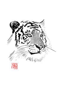 white tiger von Péchane Sumie